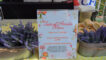 a menu of items served at Taste of Arcadia set beside two silver containers of lavender
